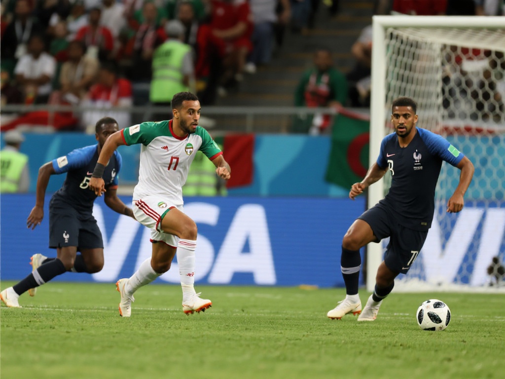 成功先例 成功先例